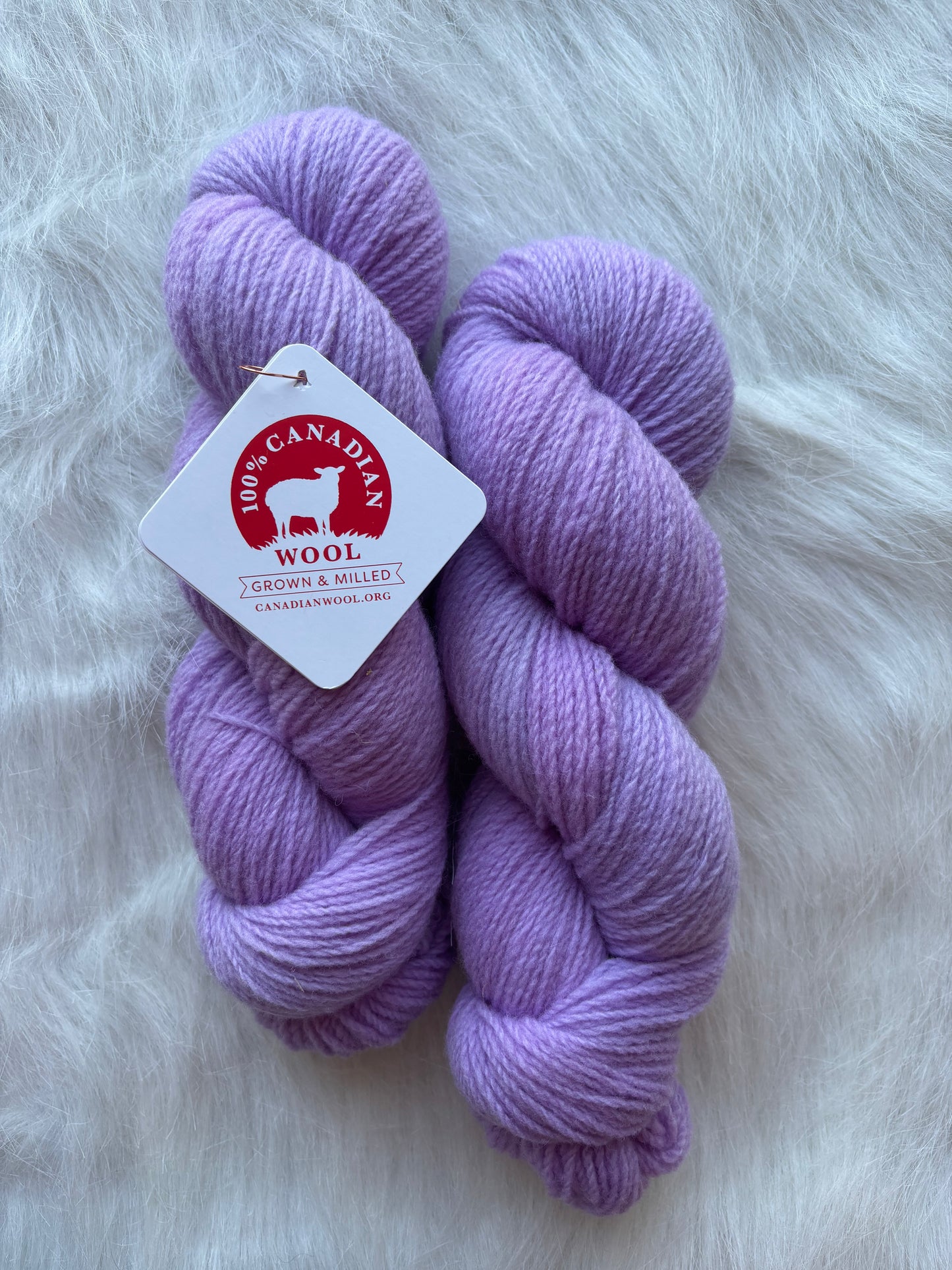 Barn to Yarn
