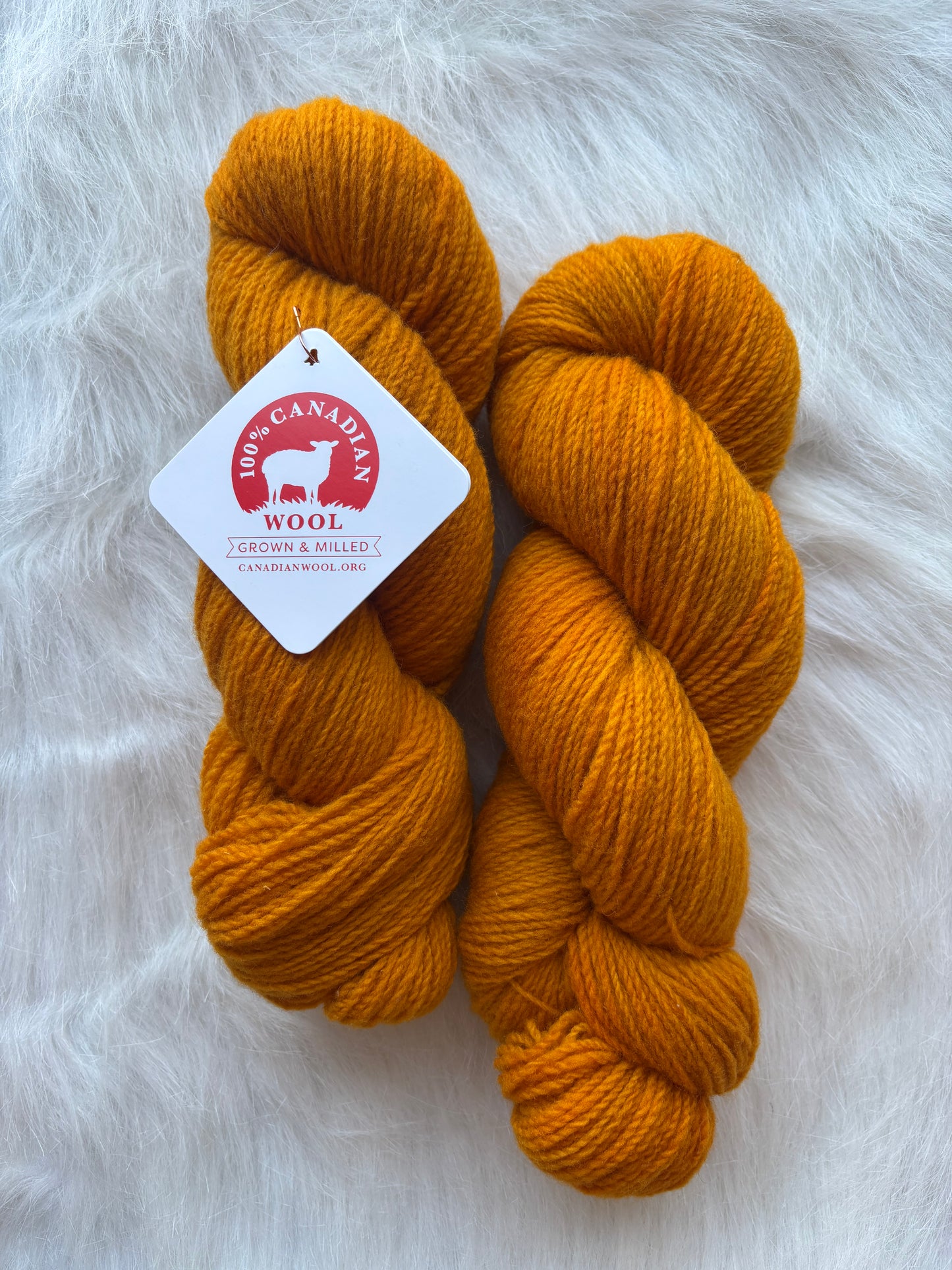 Barn to Yarn