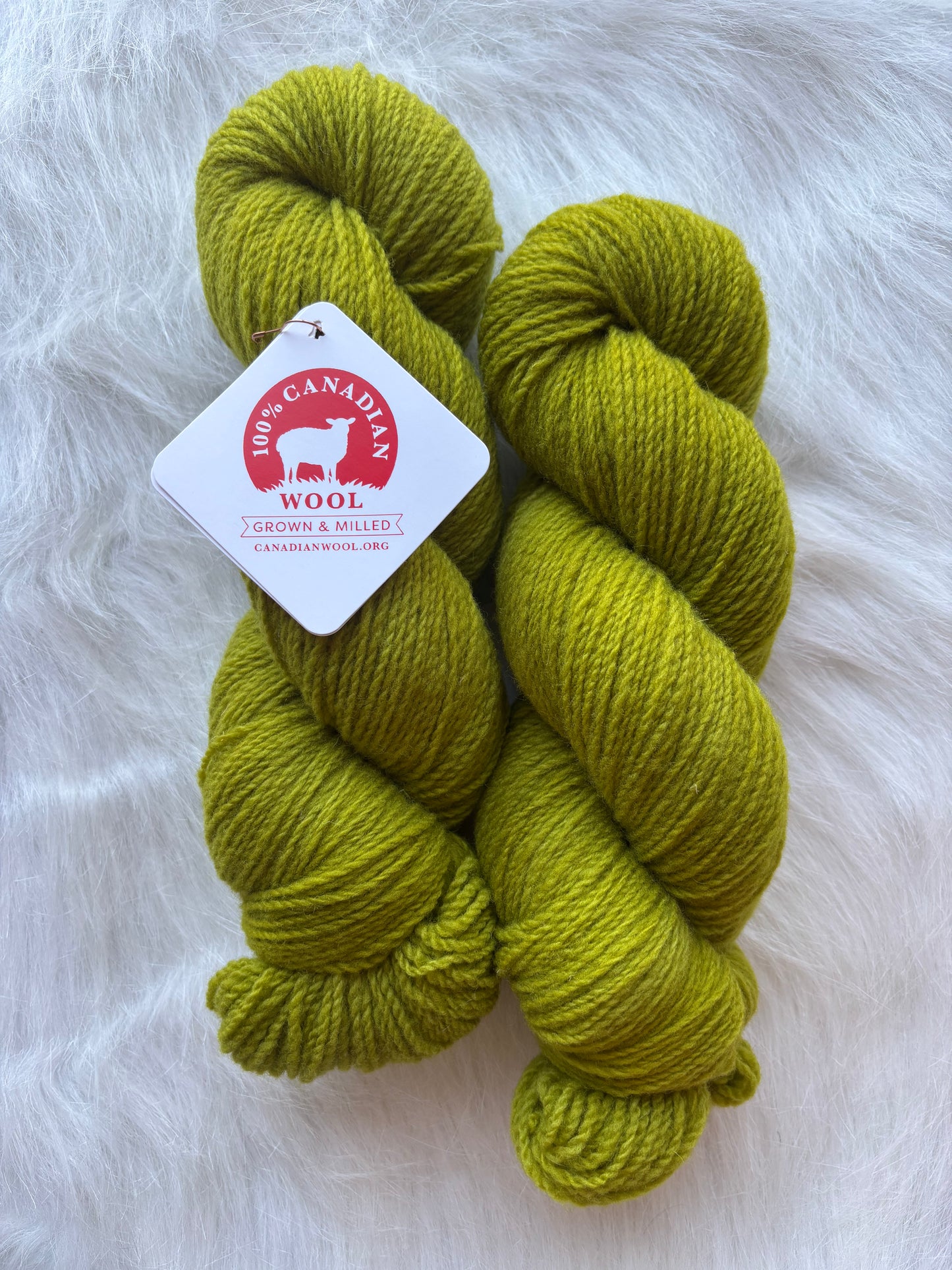 Barn to Yarn