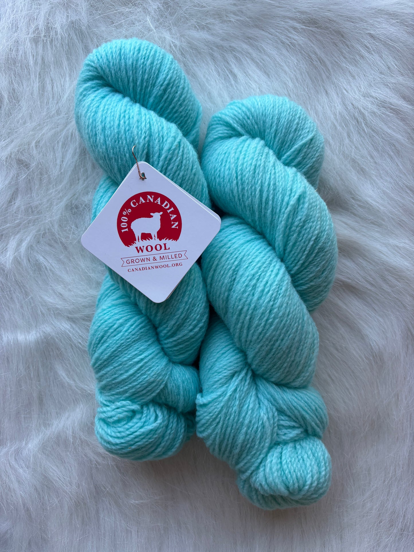 Barn to Yarn